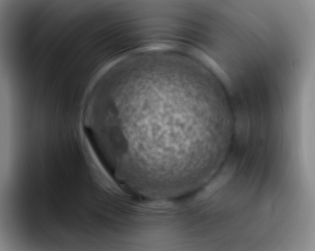 X0000092301417200709211223