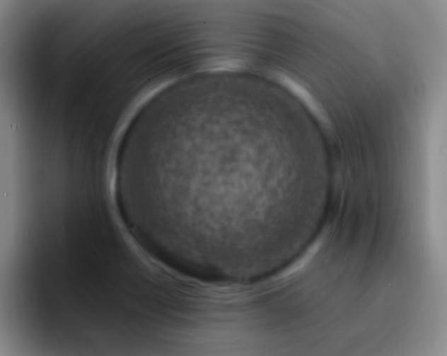 X0000092301418200709211223