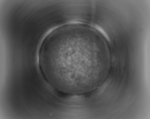 X0000092301419200709211223