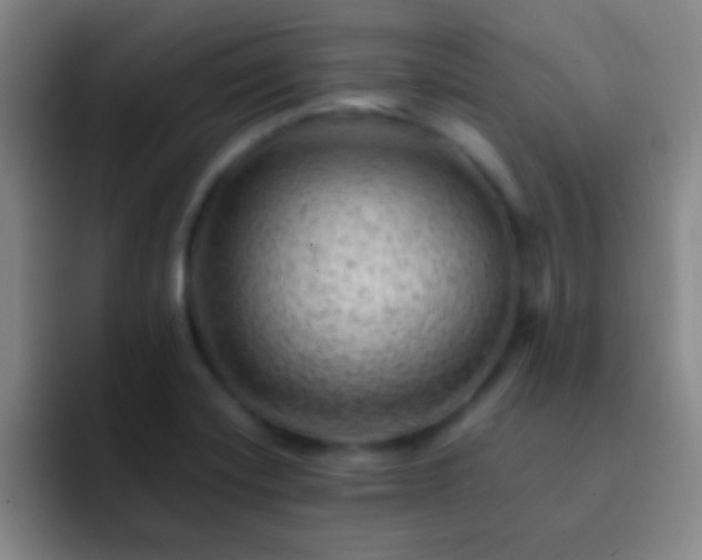 X0000092301420200709211223