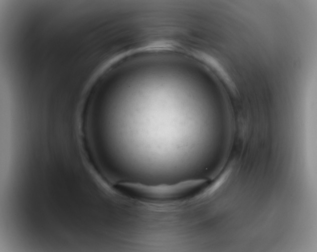 X0000092301422200709211223