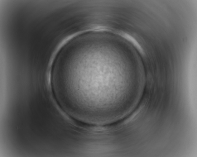 X0000092301424200709211223