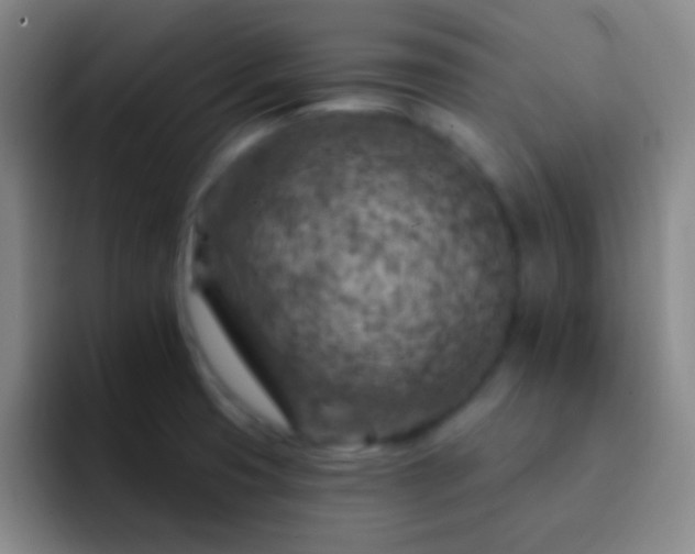 X0000092301425200709211223