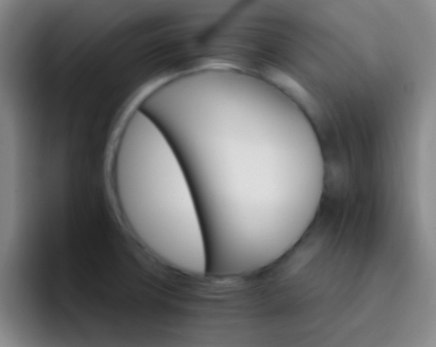 X0000092301427200709211223