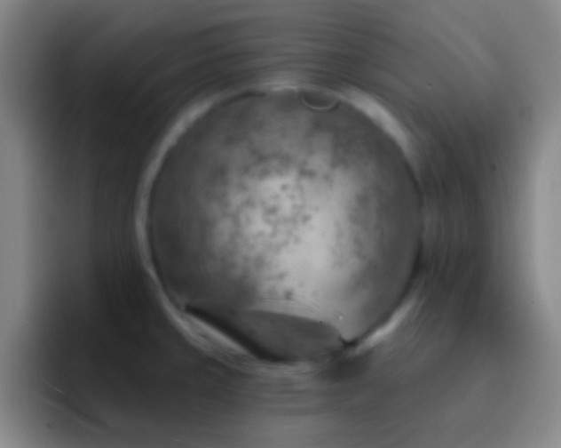 X0000092301429200709211223