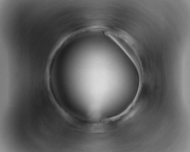 X0000092301430200709211223