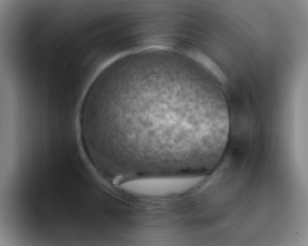 X0000092301431200709211223