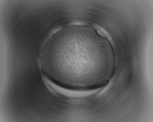 X0000092301433200709211223