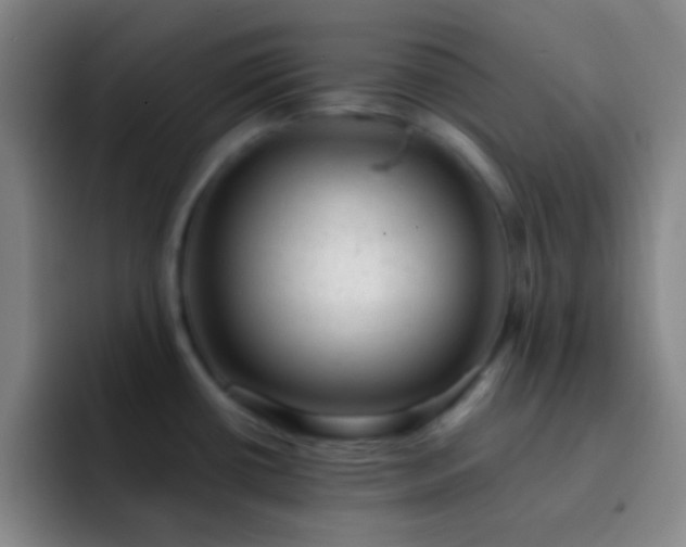 X0000092301434200709211223