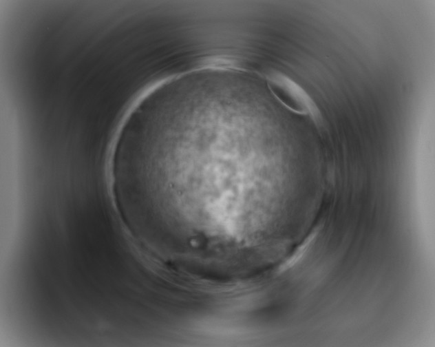 X0000092301435200709211223