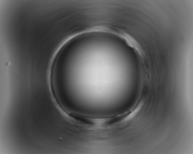 X0000092301438200709211223