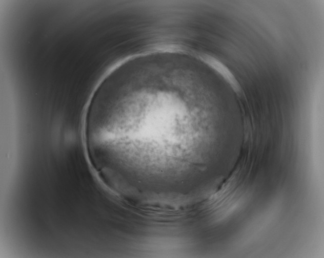 X0000092301439200709211223