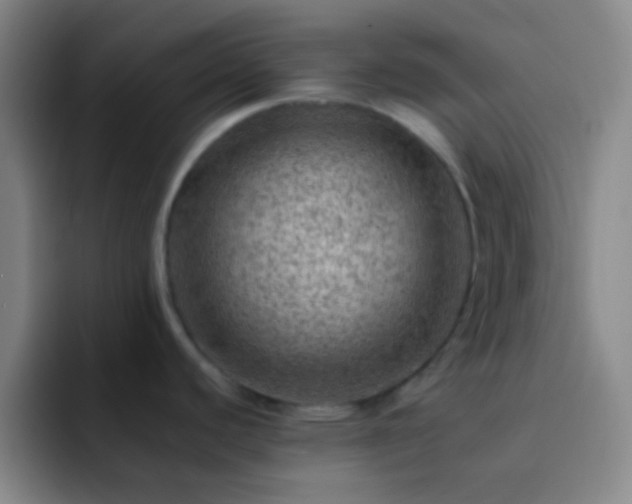 X0000092301440200709211223