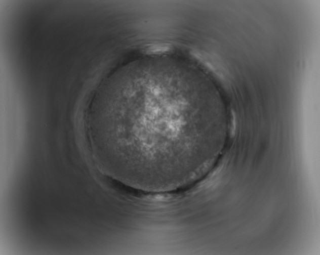 X0000092301441200709211223