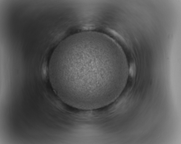 X0000092301444200709211223