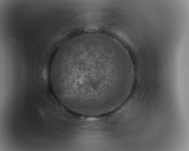 X0000092301445200709211223