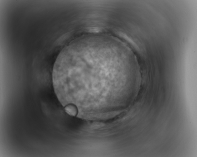 X0000092301446200709211223