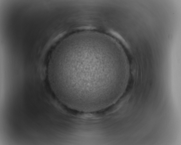 X0000092301448200709211223