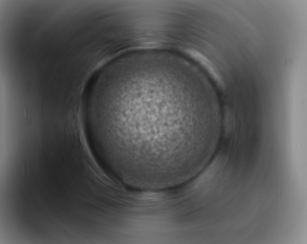 X0000092301449200709211223