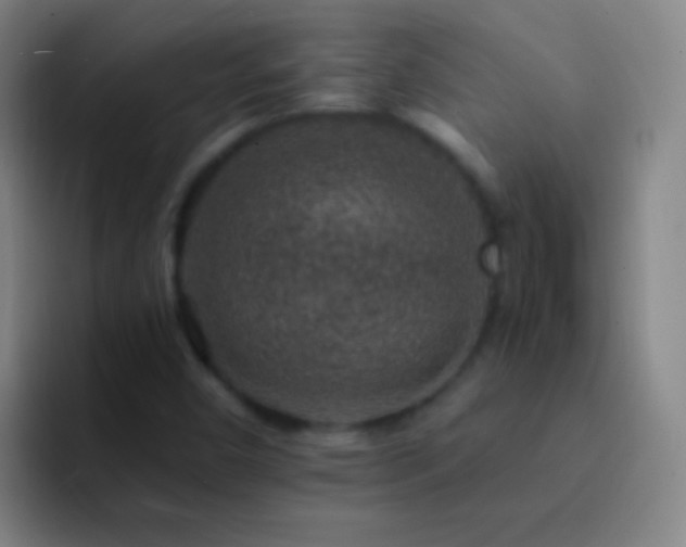 X0000092301450200709211222