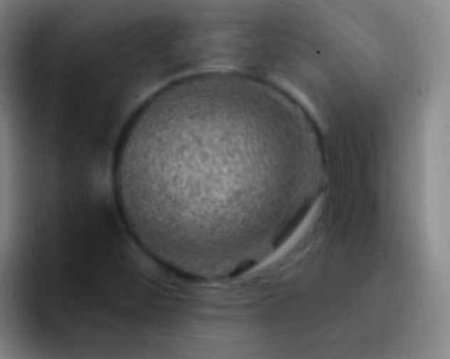 X0000092301452200709211222