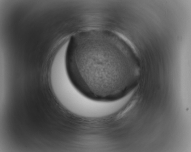 X0000092301453200709211222