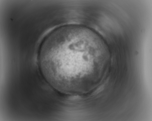 X0000092301454200709211222