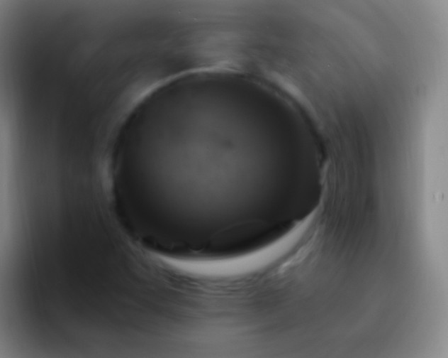 X0000092301455200709211222
