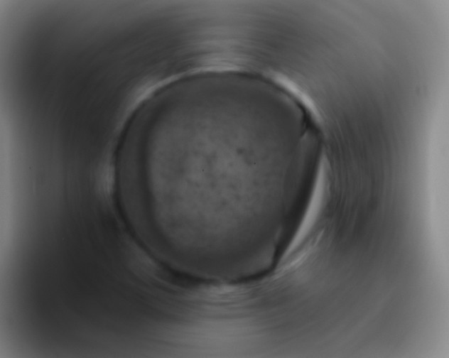 X0000092301459200709211222