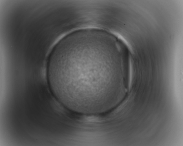 X0000092301460200709211222
