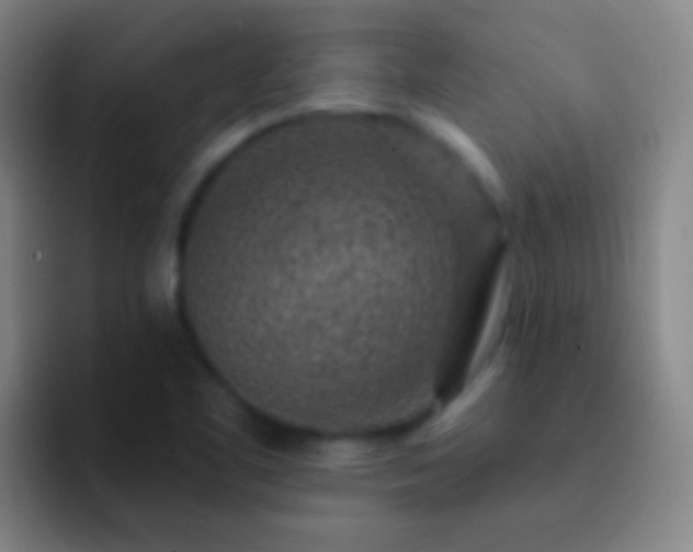 X0000092301461200709211222