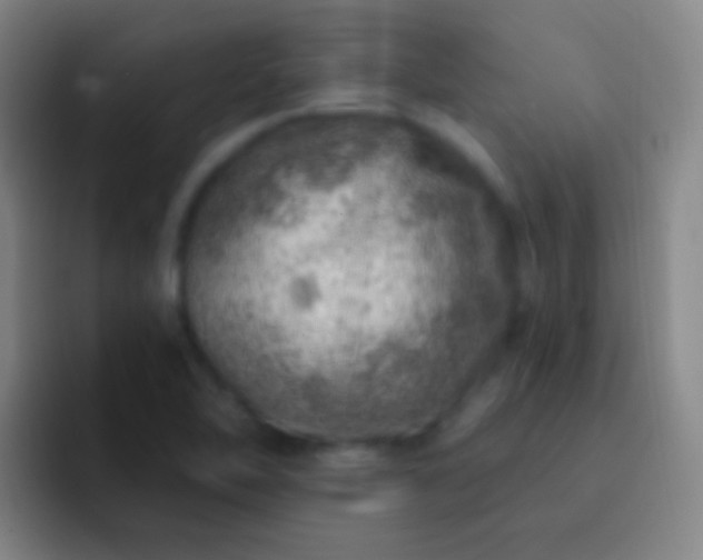 X0000092301462200709211222
