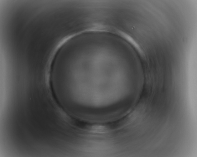 X0000092301463200709211222