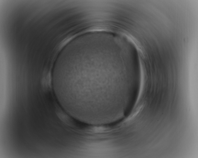 X0000092301465200709211222