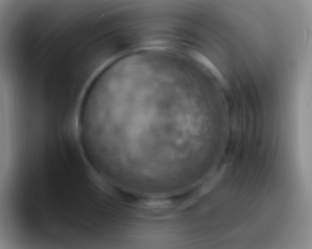 X0000092301466200709211222