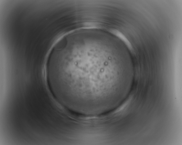 X0000092301467200709211222