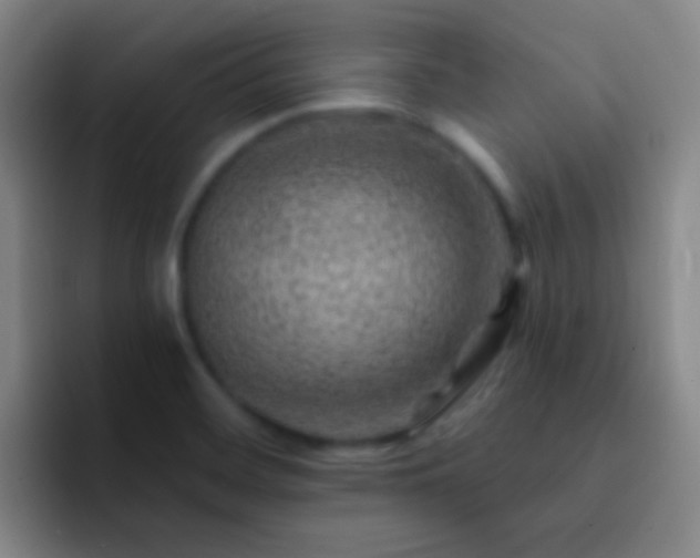 X0000092301468200709211222
