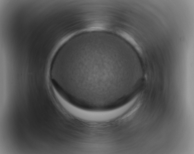 X0000092301469200709211222