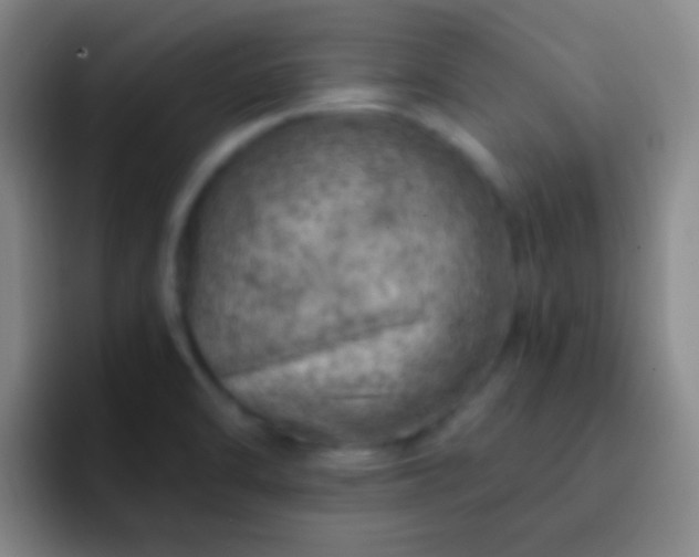 X0000092301470200709211222