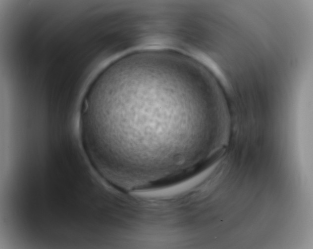 X0000092301472200709211222