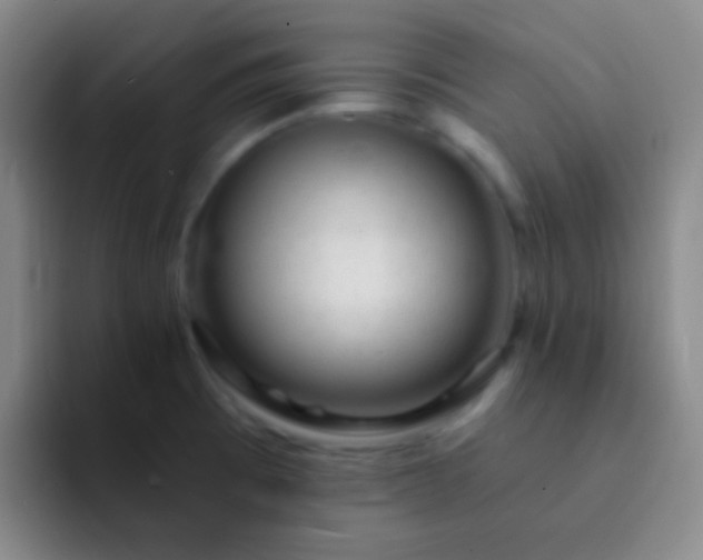 X0000092301473200709211222