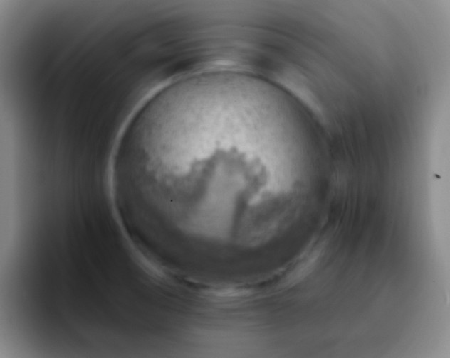 X0000092301474200709211222
