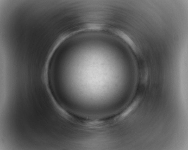 X0000092301475200709211222