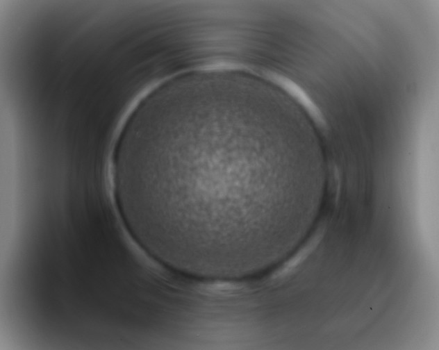 X0000092301476200709211222