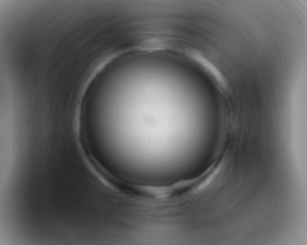 X0000092301477200709211222