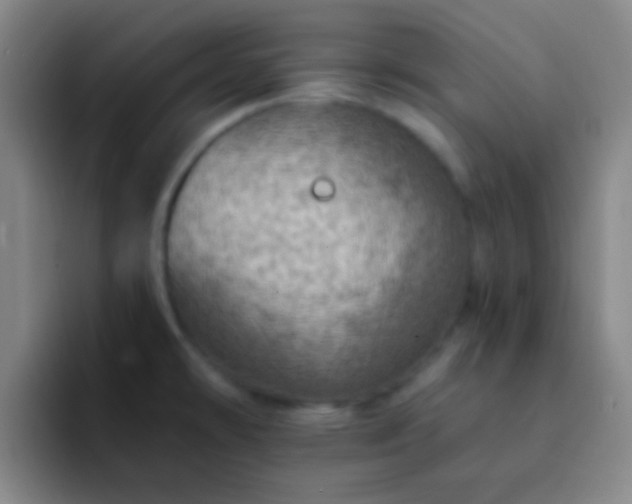 X0000092301478200709211222