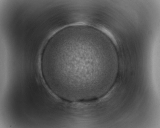 X0000092301480200709211222