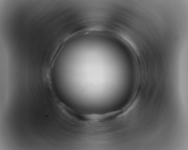 X0000092301481200709211222