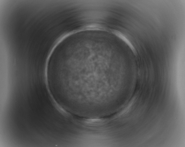 X0000092301482200709211222