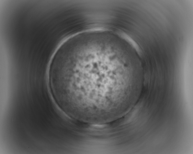 X0000092301483200709211222